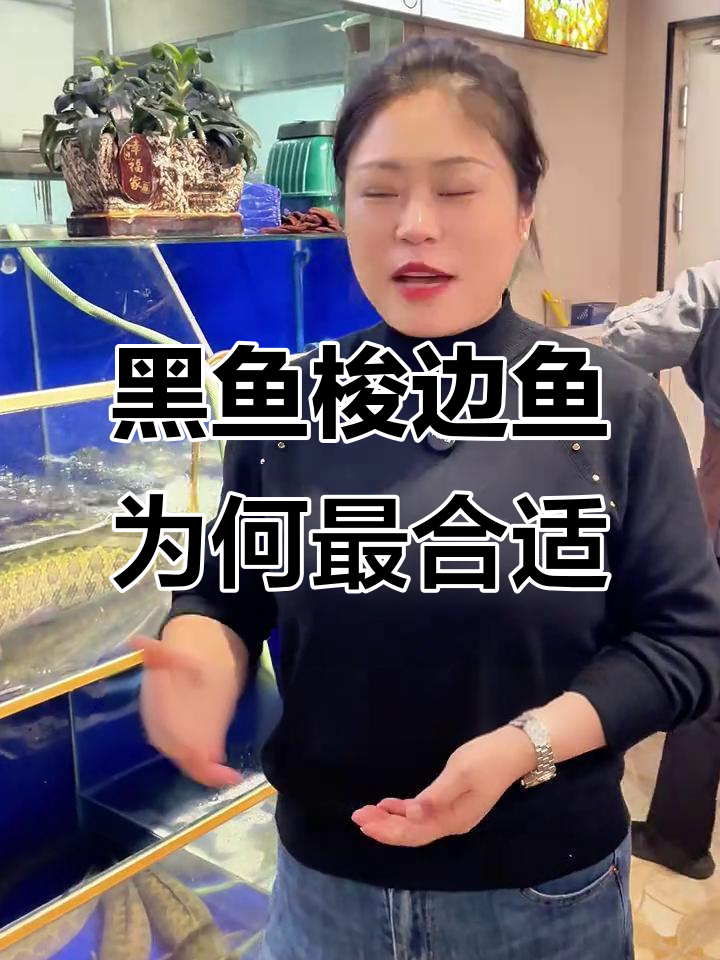 为什么黑鱼梭边鱼最适合做火锅?选鱼的秘诀大公开