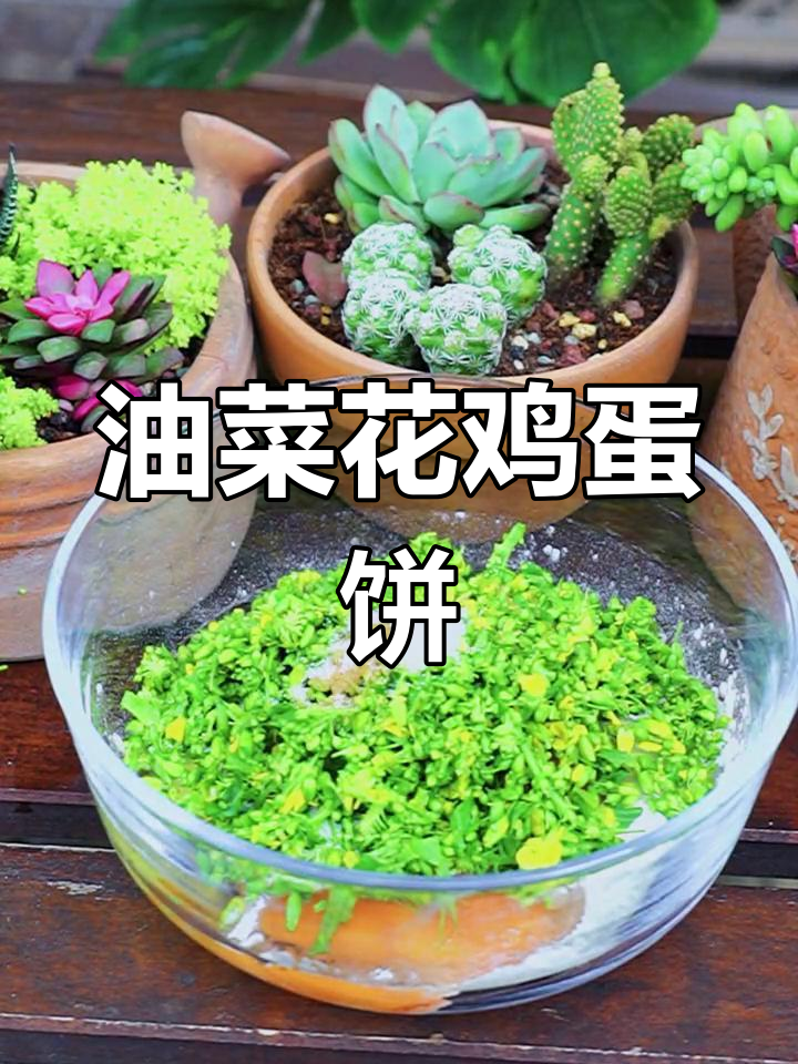 油菜花鸡蛋煎饼,营养又美味!