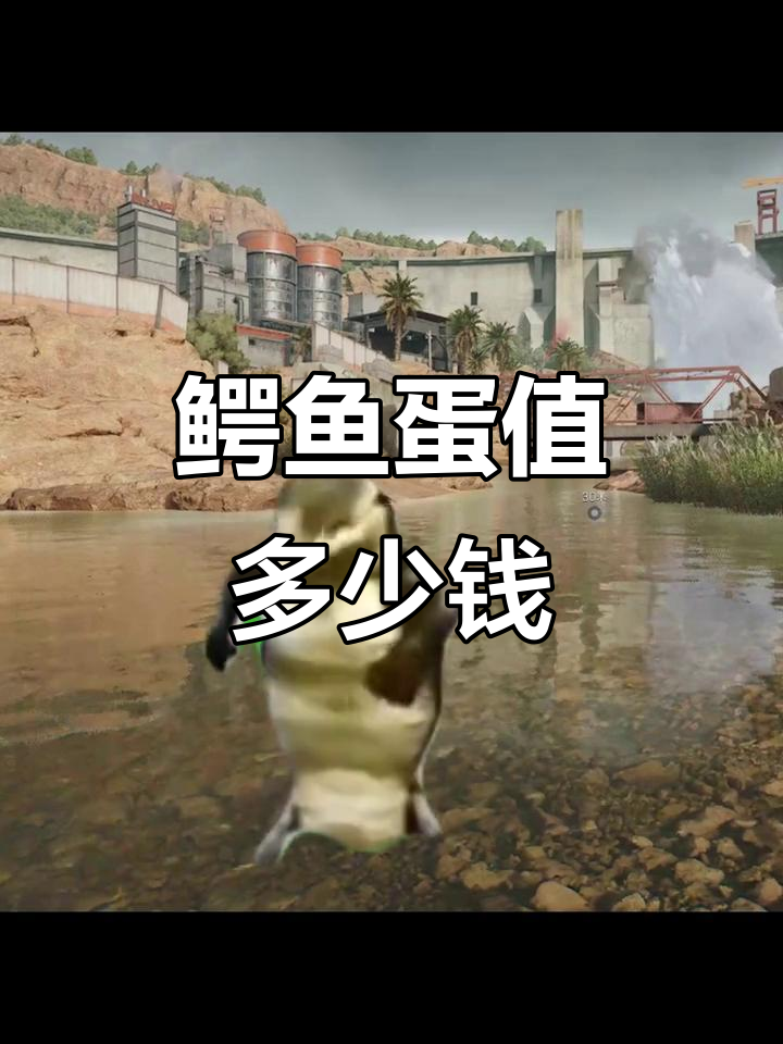 鳄鱼蛋竟能换这么多钱,三角洲行动大揭秘