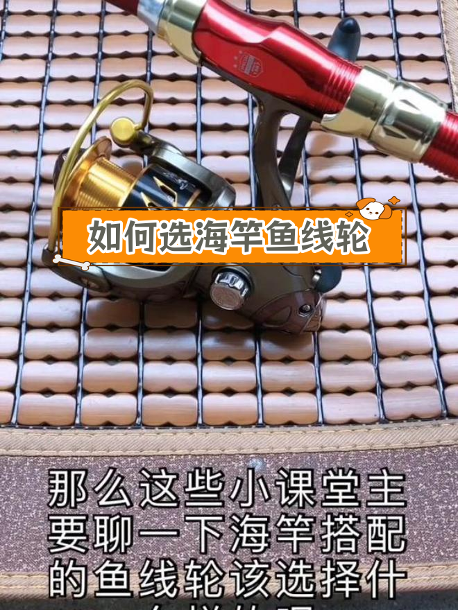 海竿鱼线轮选择指南