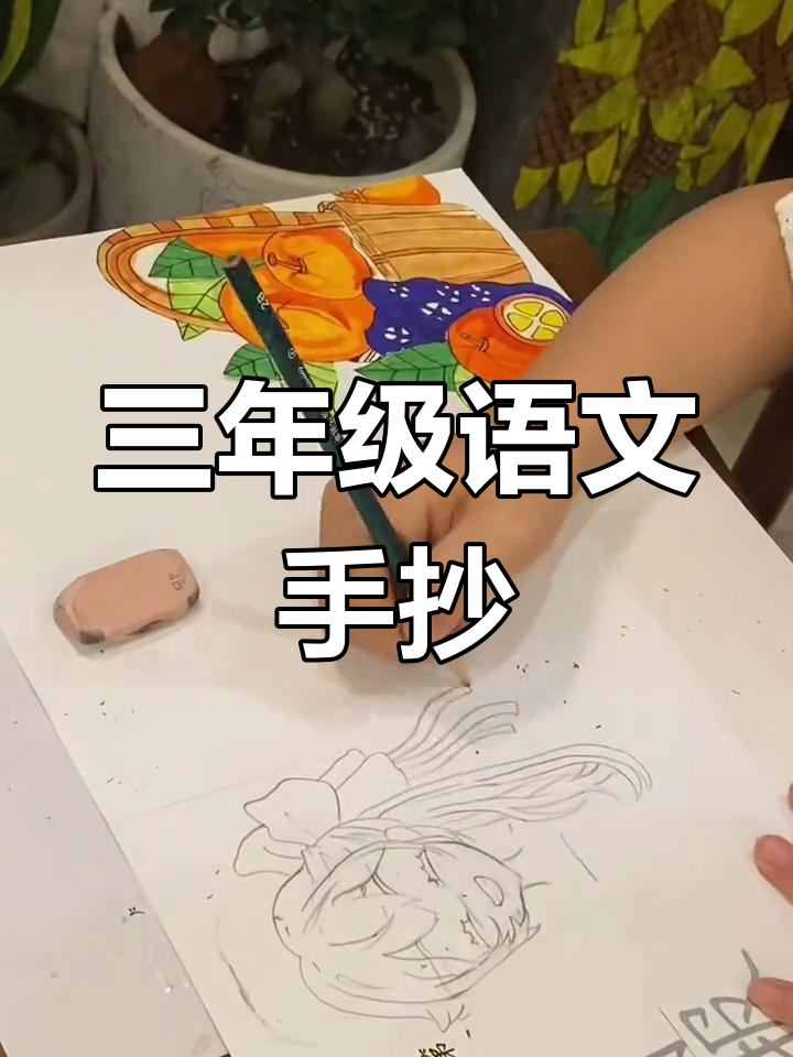 三年级下册语文手抄报:岁月与梦想的碰撞