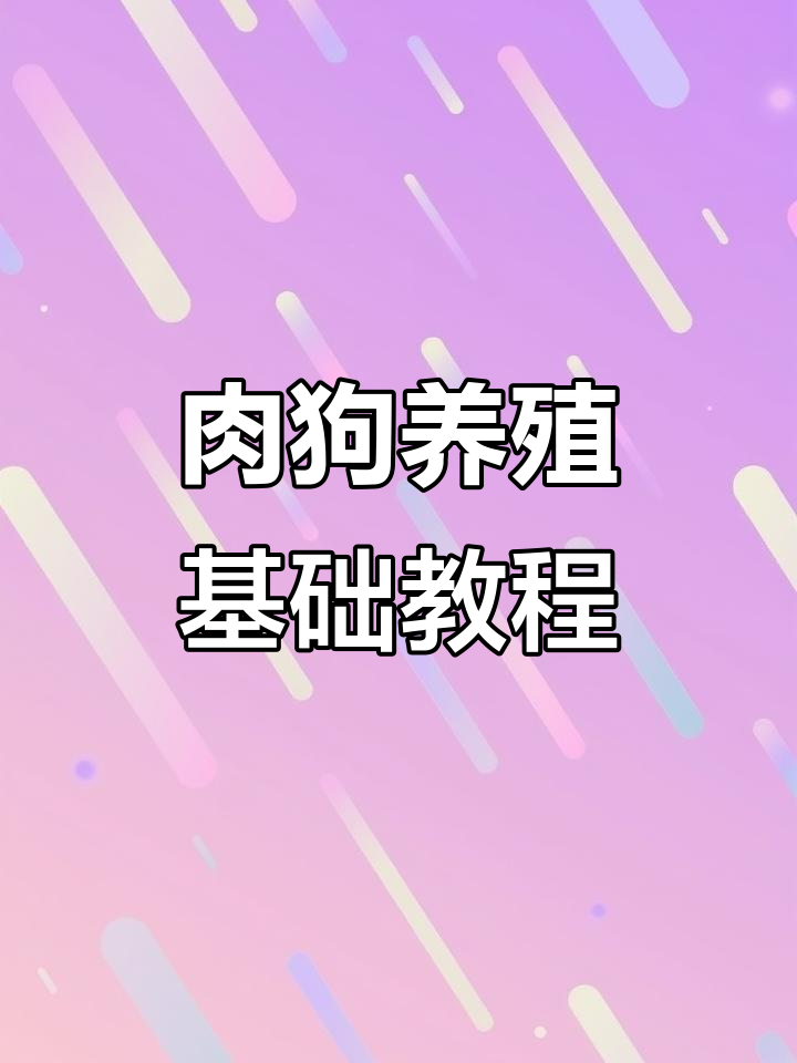 肉狗养殖技术全攻略,助你轻松入门