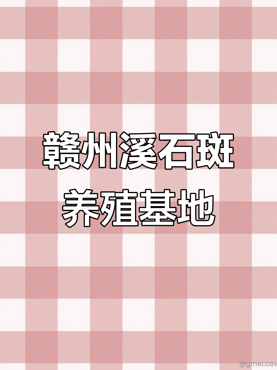 江西赣州最大溪石斑养殖基地，独特环境助力高密度水产繁育