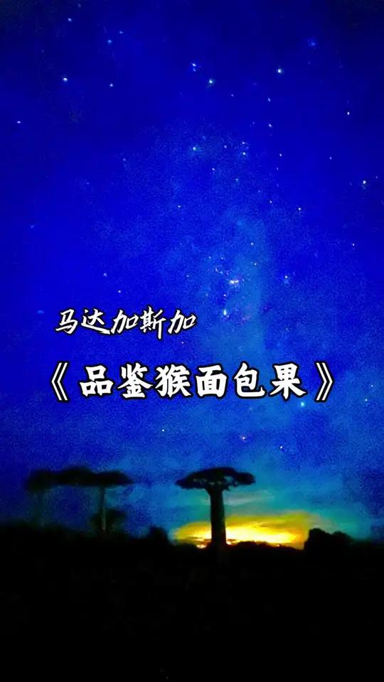 面包果 很意外的是,马达的猴子并不吃面包果