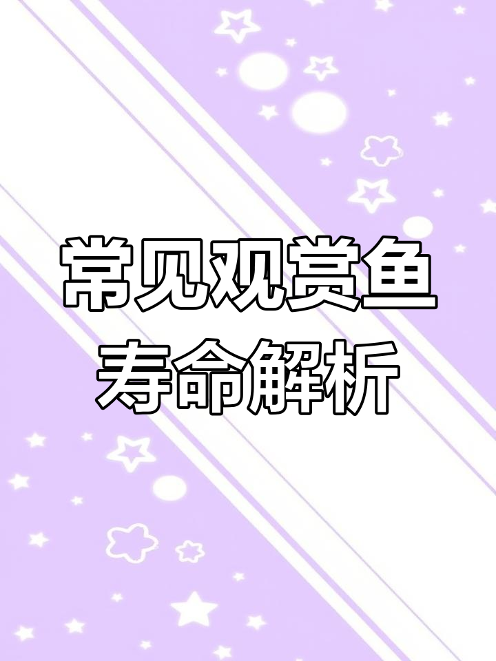 观赏鱼寿命大揭秘:孔雀、丽鲤和斗鱼的陪伴时长