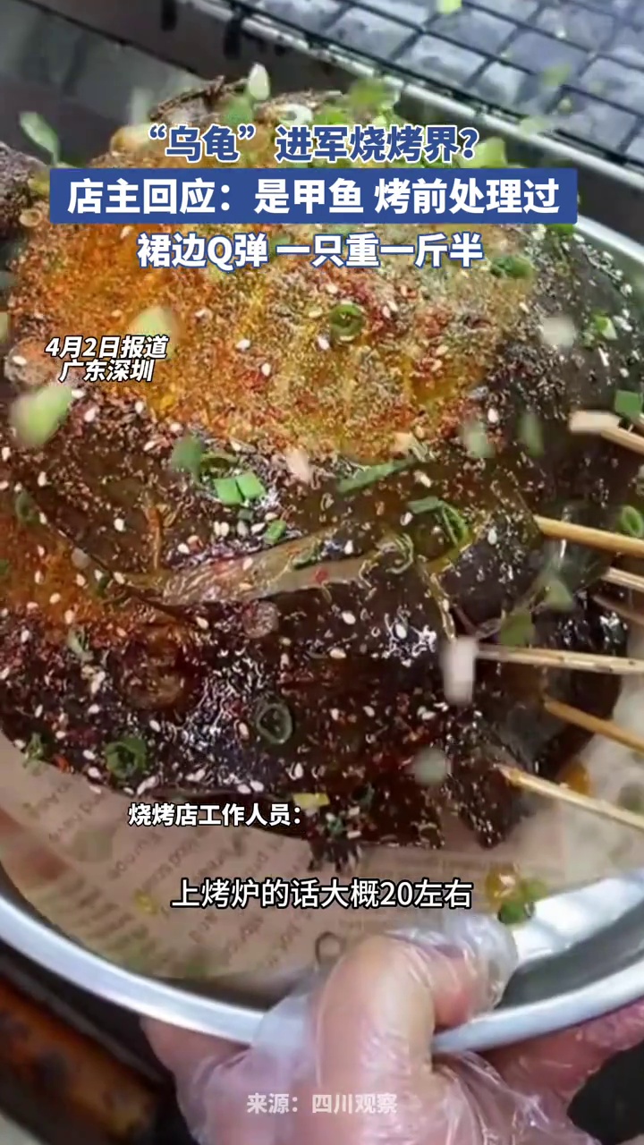 “乌龟”也进军烧烤界?店主回应:是甲鱼,每只大概一斤半