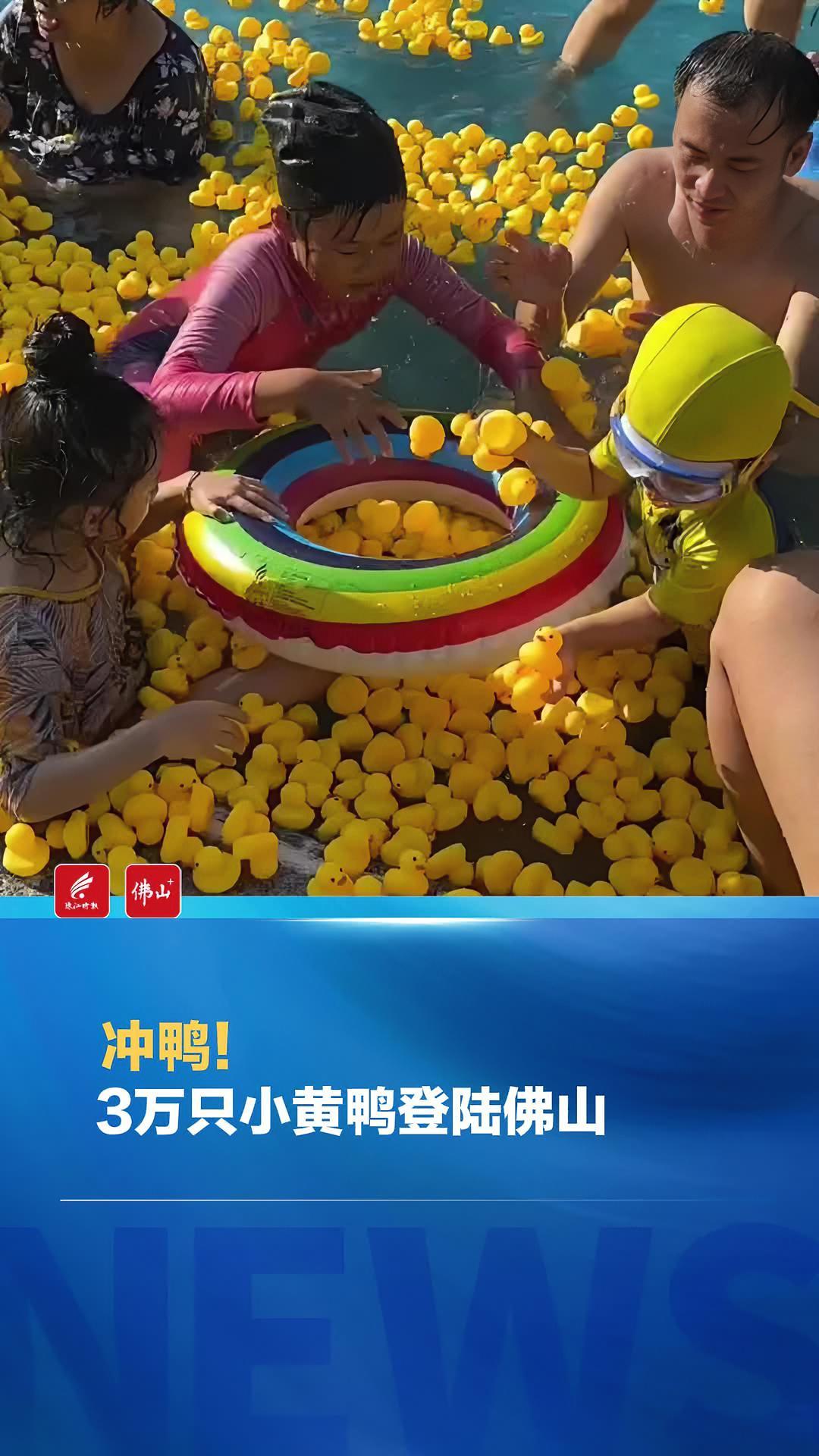 冲鸭!3万只小黄鸭登陆佛山 佛山 亲子游玩好去处 夏天就是要玩水 假期游玩 遛娃好去处