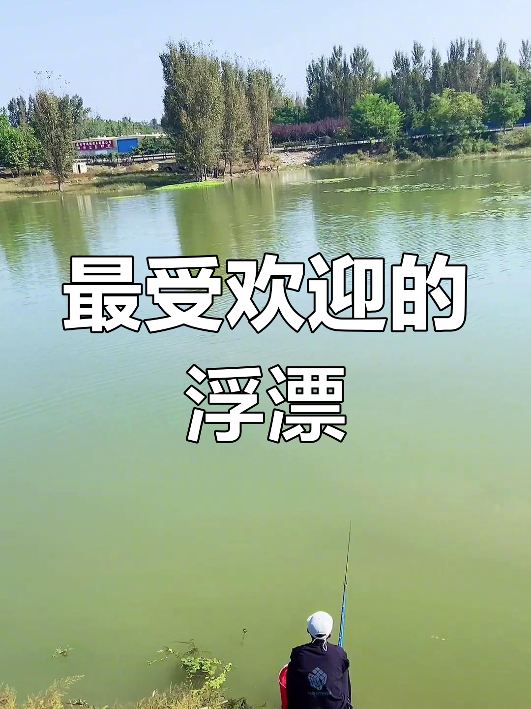 十大浮漂品牌排名,你选哪款?