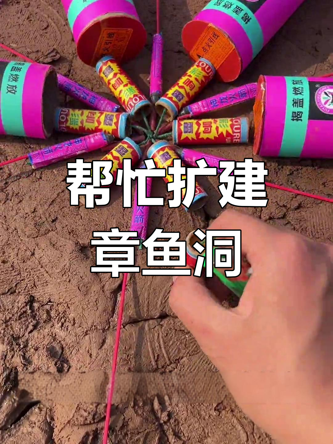 赶海发现大章鱼,竟然帮它扩建洞穴!