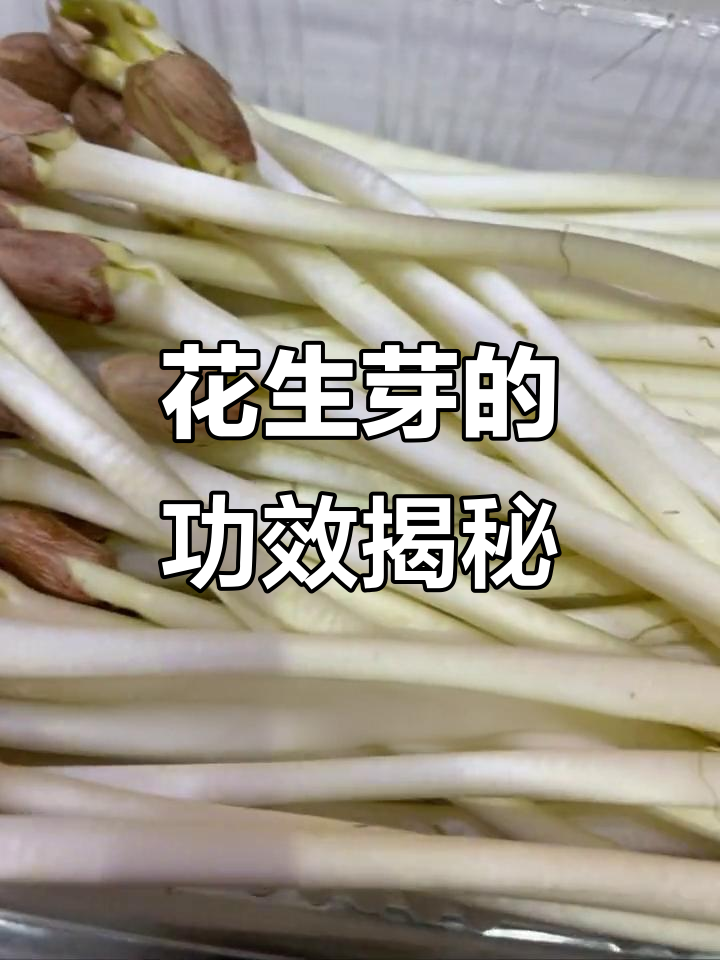 花生芽的神奇功效,你了解吗?