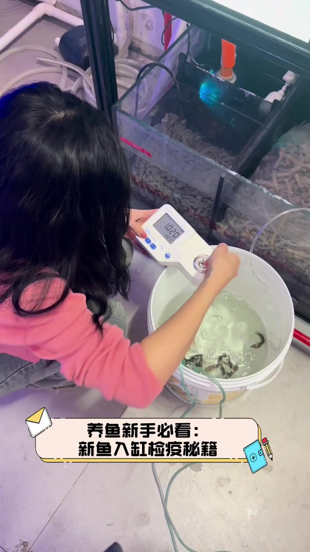 养鱼新手必看:新鱼入缸检疫秘籍