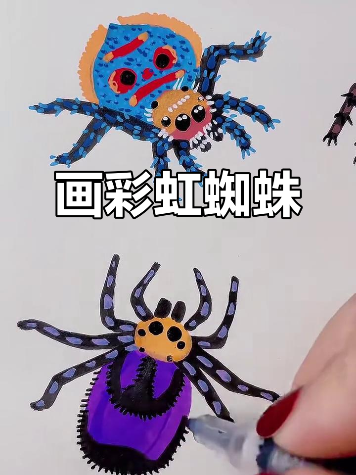 彩虹蜘蛛简笔画,画出颜值爆表的可爱小动物