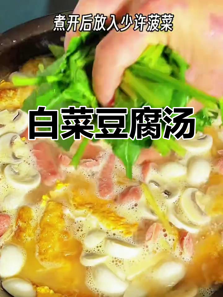 白菜豆腐汤,营养又美味,家常做法保平安