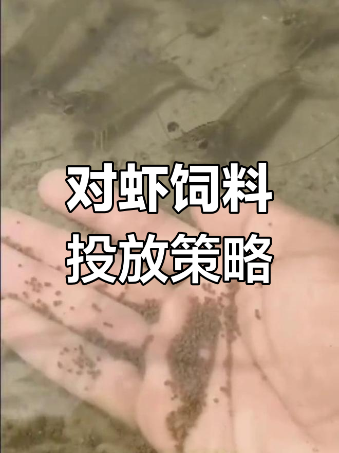 南美白对虾科学投喂技巧