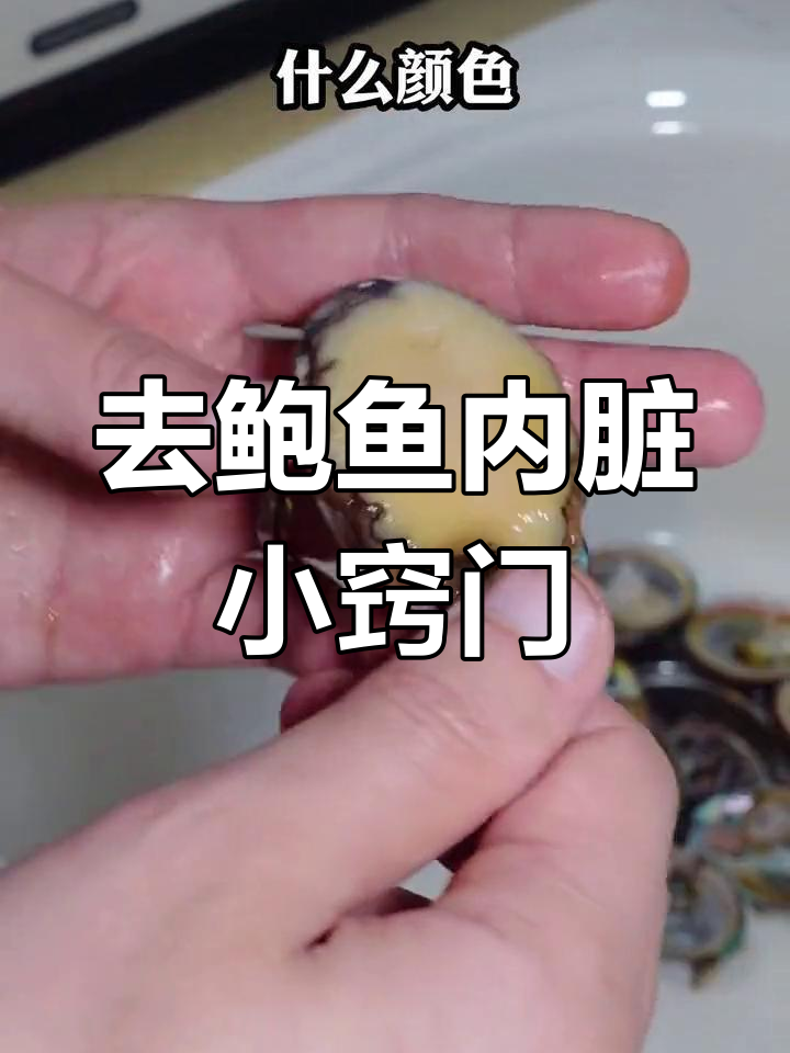 鲍鱼内脏清理技巧，轻松去腥