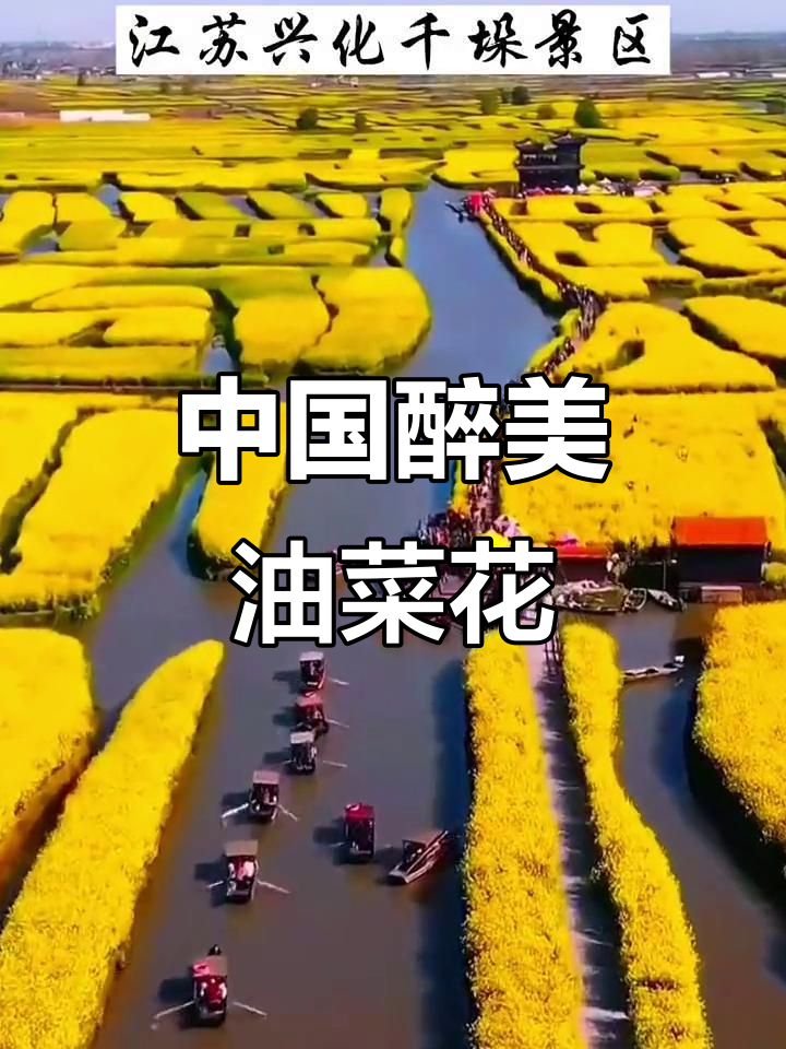 盘点中国最美油菜花海，重庆人必看！