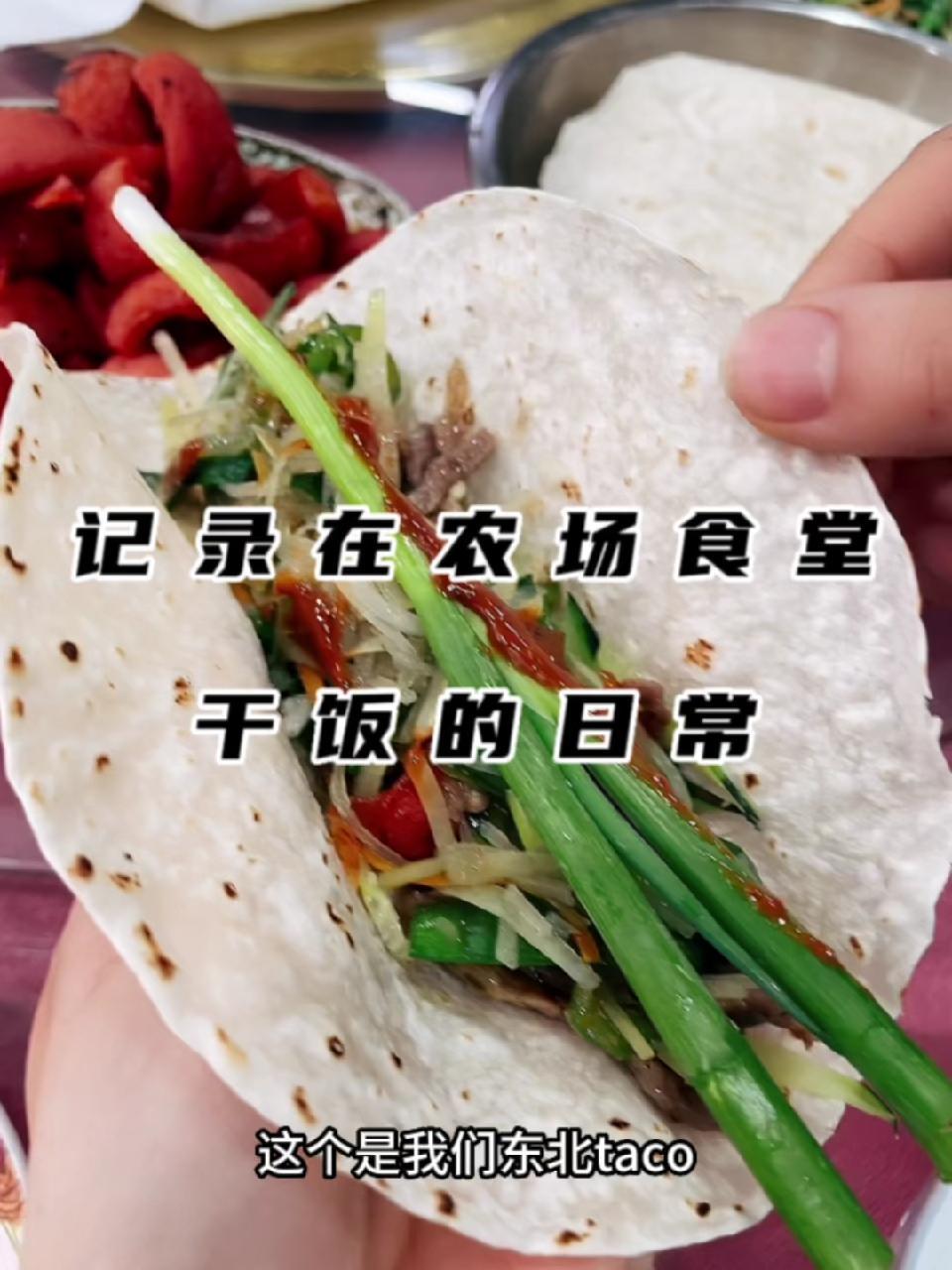 今天中午带大家感受一下东北taco 记录真实生活 新农人计划2023 在平凡日子里热爱生活