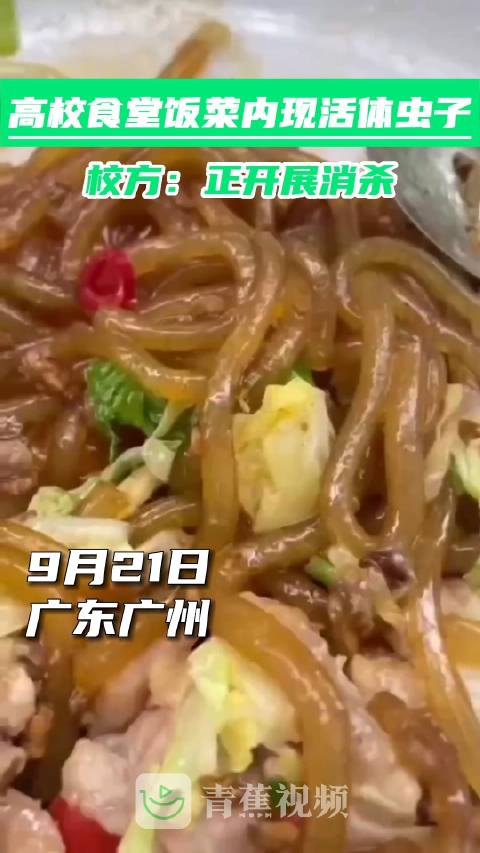 「猪肉炖粉条上有蛆?大学食堂员工:高温烹饪不可能存在活体」9月21日,广东广州华南农业大学