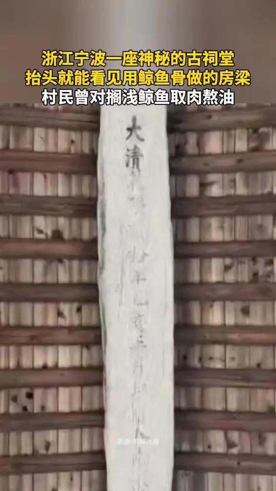 浙江宁波一座神秘的古祠堂，抬头就能看见用鲸鱼骨做的房梁，村民曾对搁浅鲸鱼取肉熬油