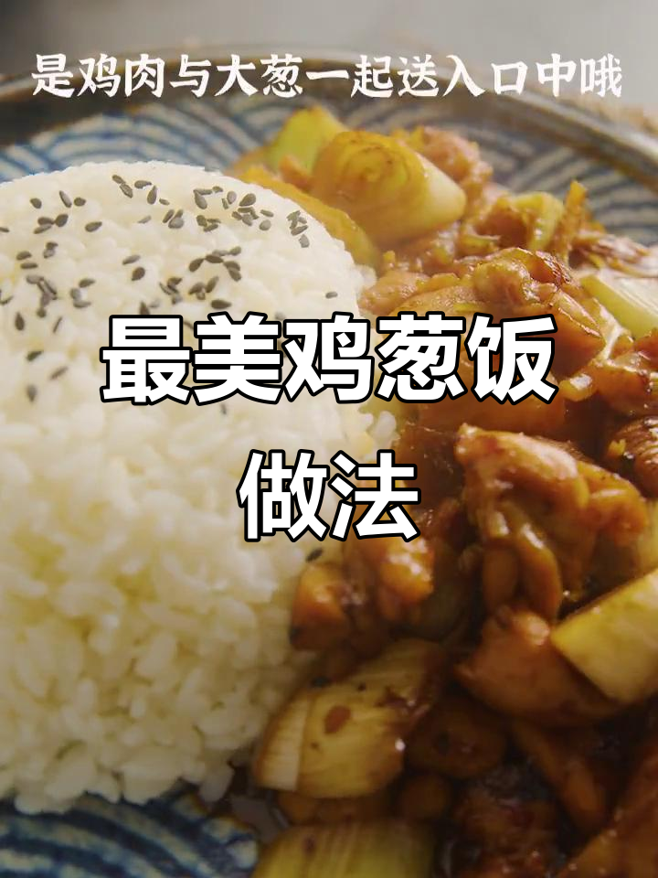 鸡肉大葱盖饭,酱汁渗透更美味