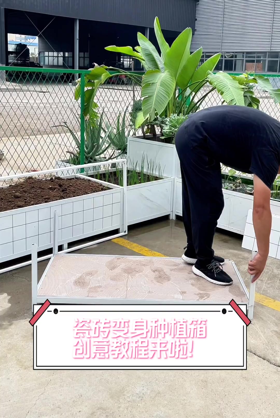 瓷砖变身种植箱,创意教程来啦!