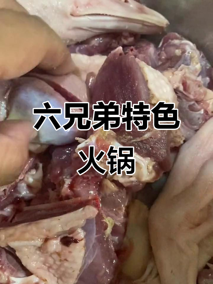 麻辣炖大鹅与羊排,六兄弟火锅的独特风味