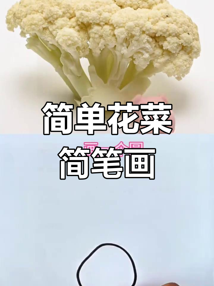 用波浪线轻松画花菜,亲子互动超有趣