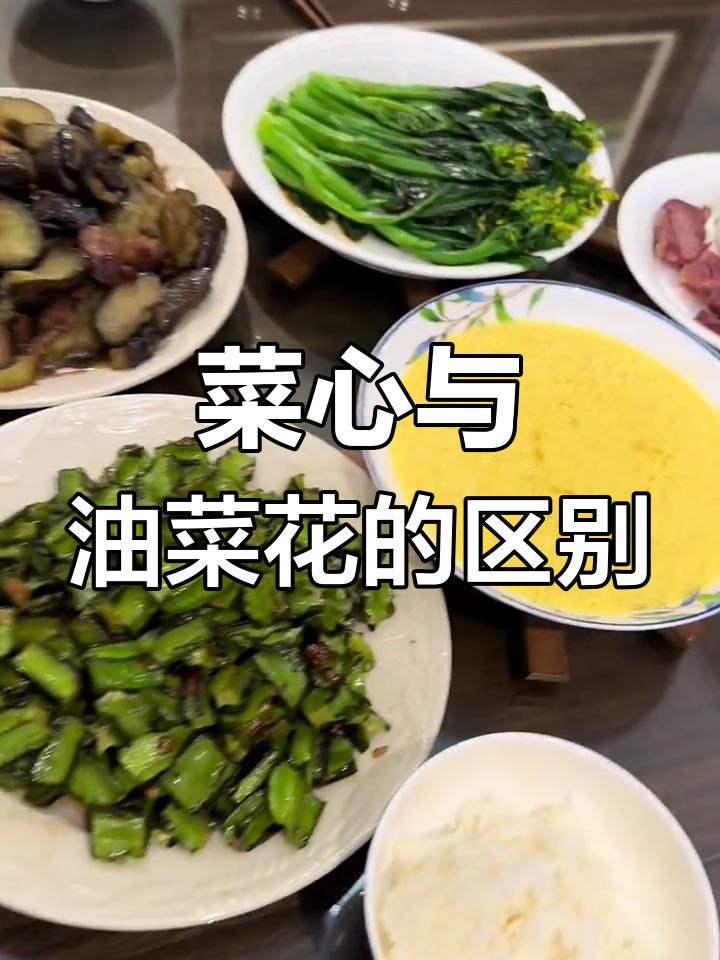 菜心与油菜花其实是两种不同的蔬菜,叶子差别大