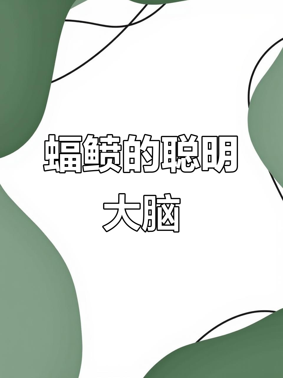 蝠鲼：海里最聪明的鱼，通过镜像测试展现高级智能