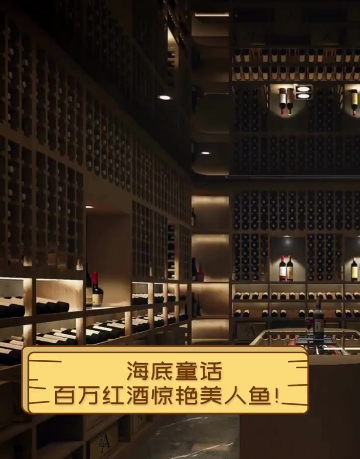 海底童话,百万红酒惊艳美人鱼!