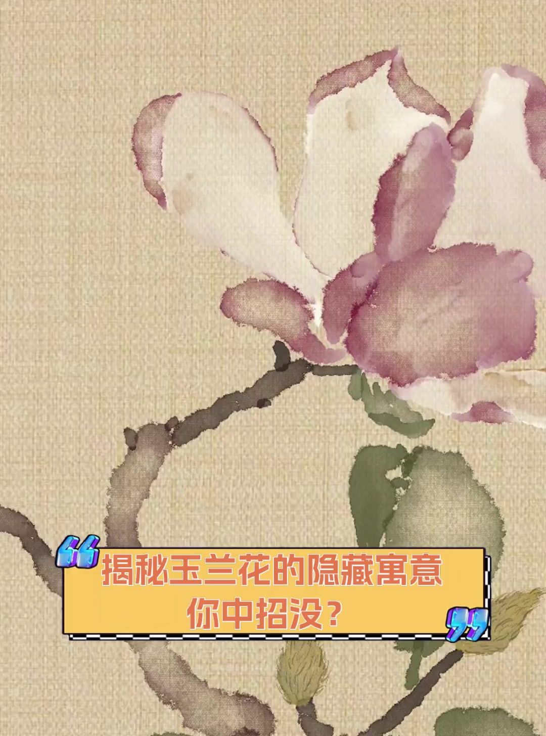 揭秘玉兰花的隐藏寓意,你中招没?