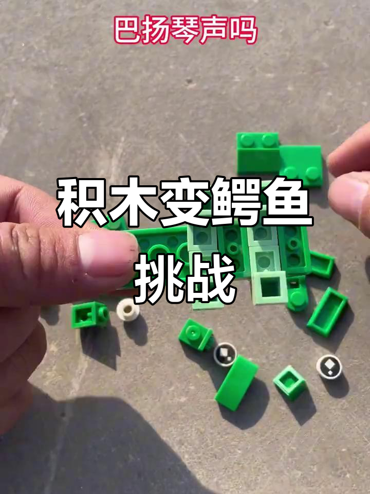 积木拼凑成鳄鱼,看看你能猜出来吗?