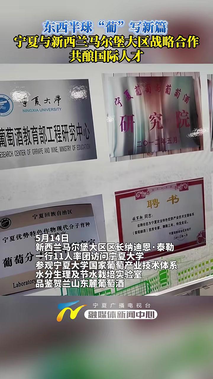 东西半球“葡”写新篇，宁夏与新西兰马尔堡大区战略合作，共酿国际人才！（记者马俊）宁夏 葡萄