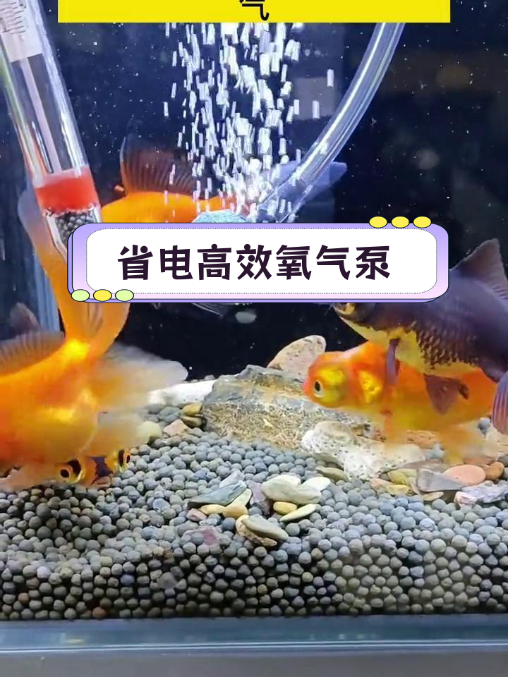 小型鱼缸必备迷你氧气泵