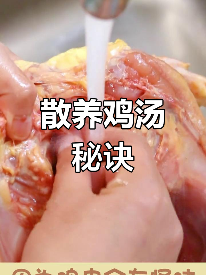 土鸡炖汤,冷水下锅,营养不流失,味道鲜美清甜