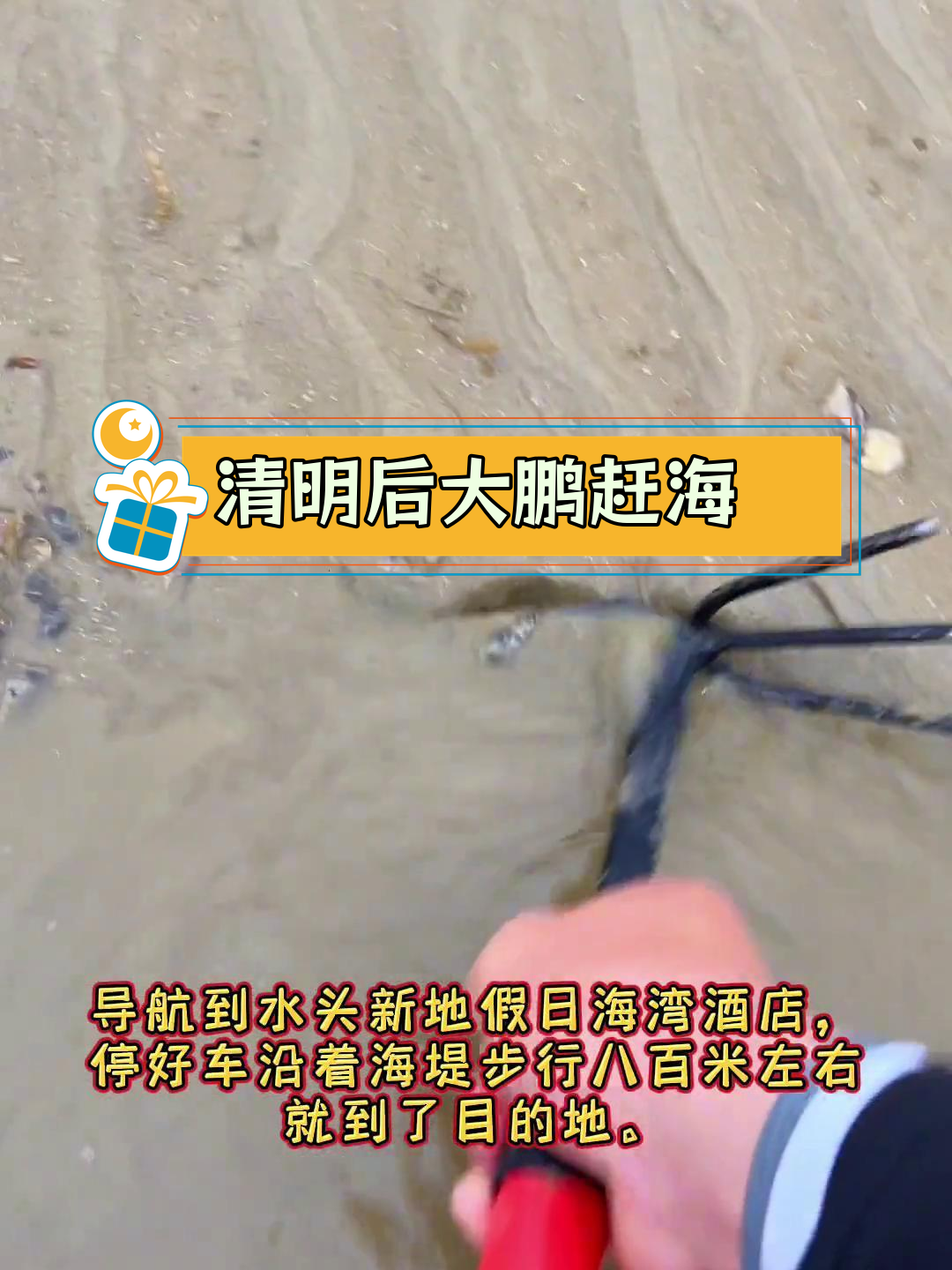 大鹏钓鱼岛赶海攻略,清明后最佳退潮时机