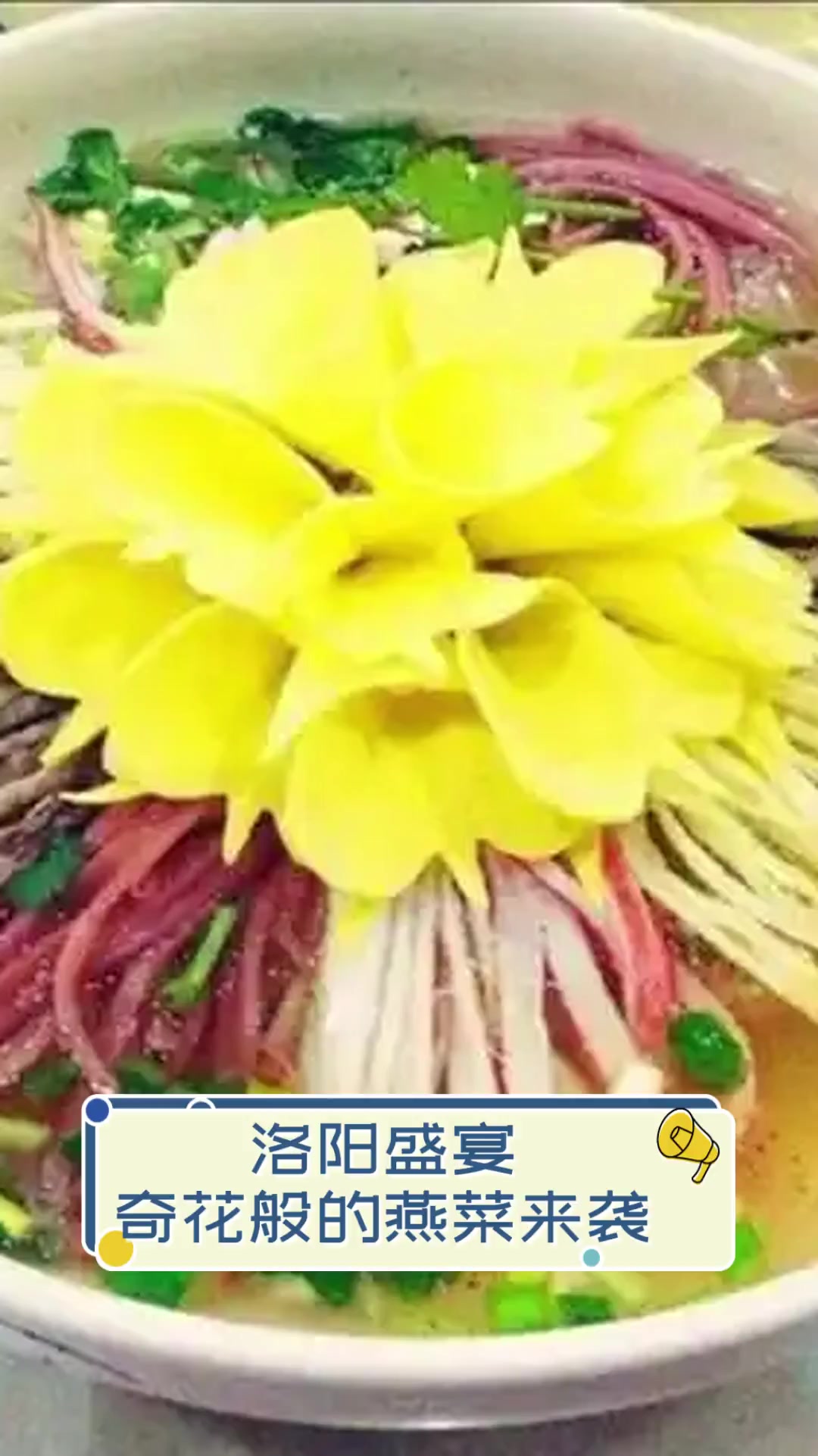 洛阳盛宴,奇花般的燕菜来袭