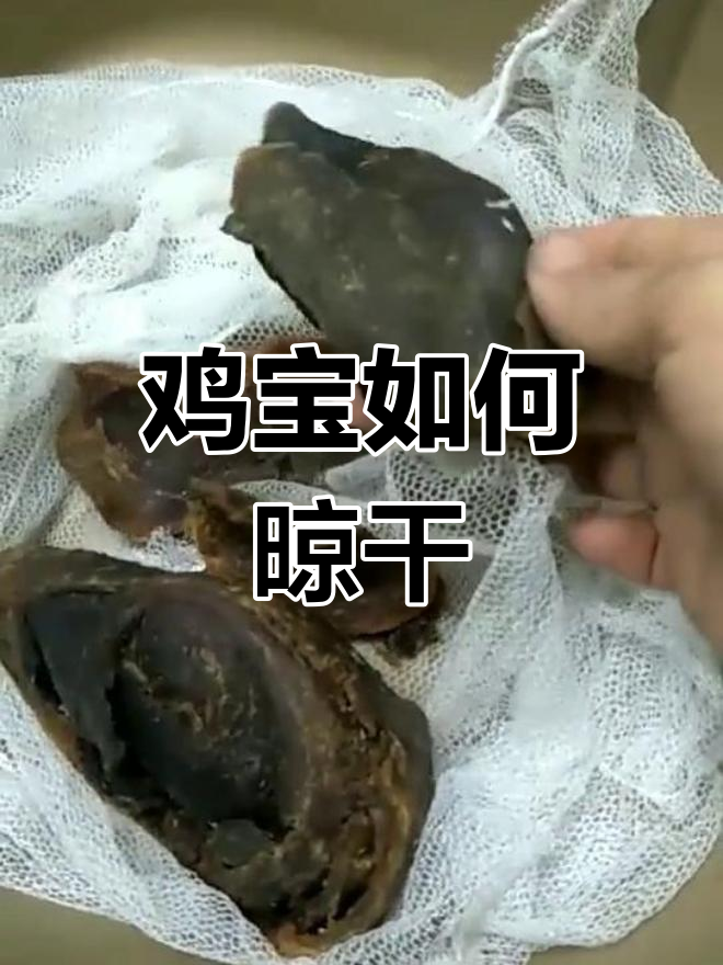 鸡宝晒干保存方法是否合适?