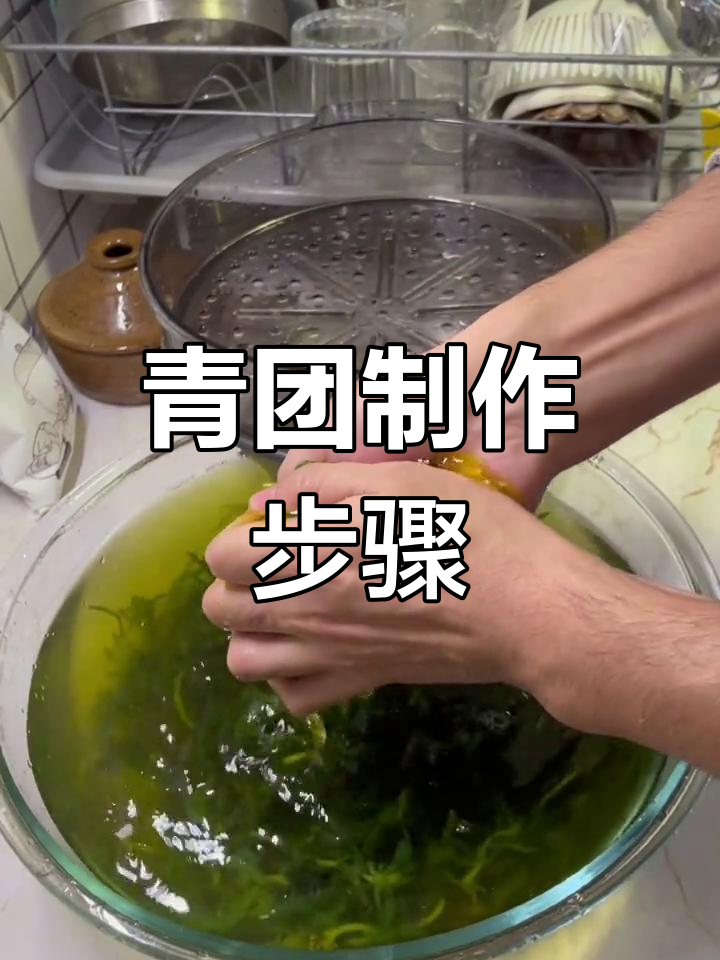 青团制作全攻略:底眉草的处理与咸馅料准备
