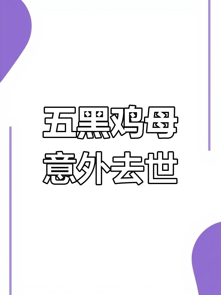 野外放养凤头五黑鸡,意外死亡让人心痛