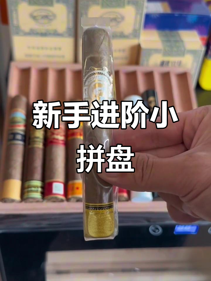 新手必学拼盘技巧,盛世奇迹系列全解析