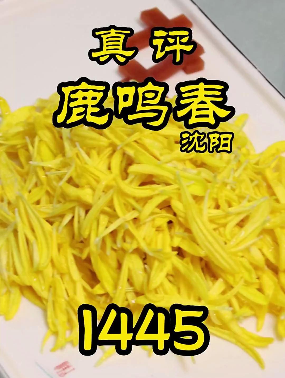 沈阳-鹿鸣春！味道究竟怎么样？特厨吃的真心高兴不起来！