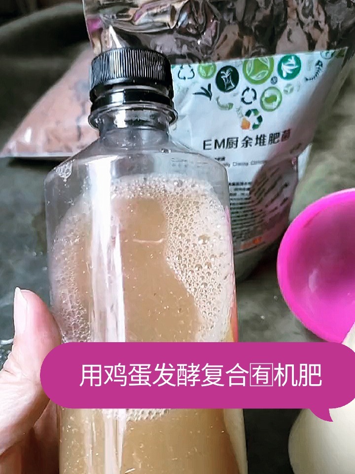 鸡蛋发酵复合有机肥料!在家自制有机肥