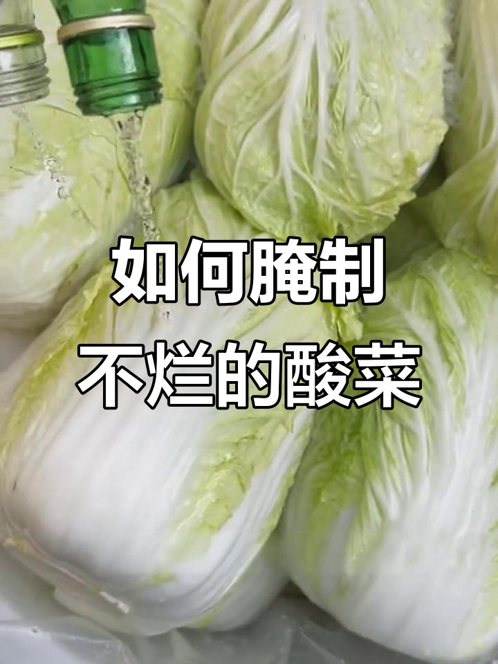 腌酸菜不放水，如何防止腐烂？教你东北传统做法