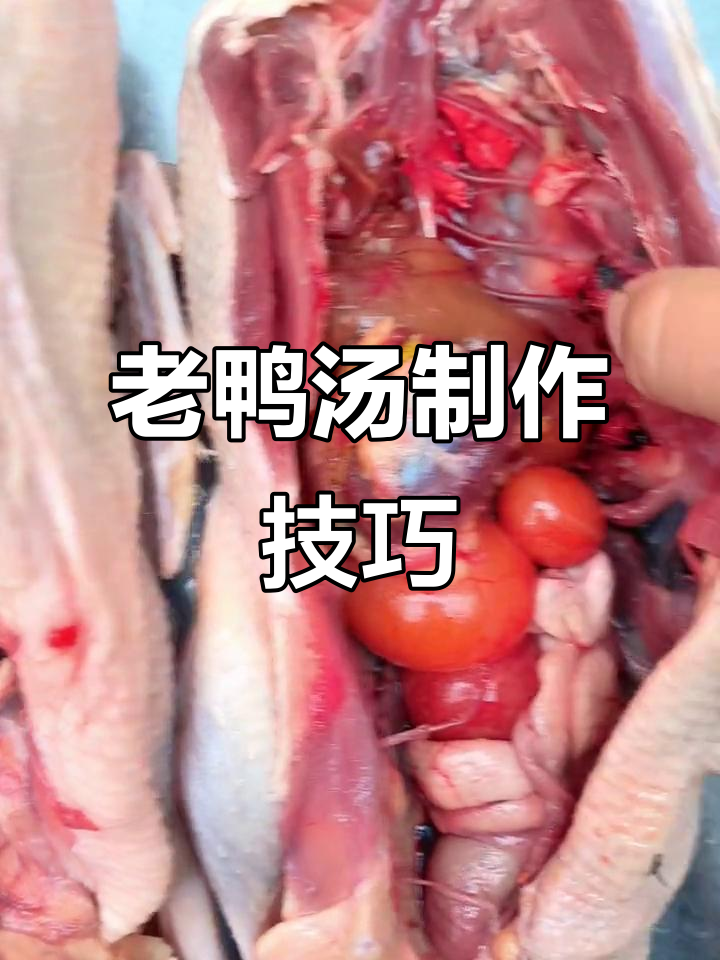 小河麻鸭年底必备,老鸭汤做法大揭秘