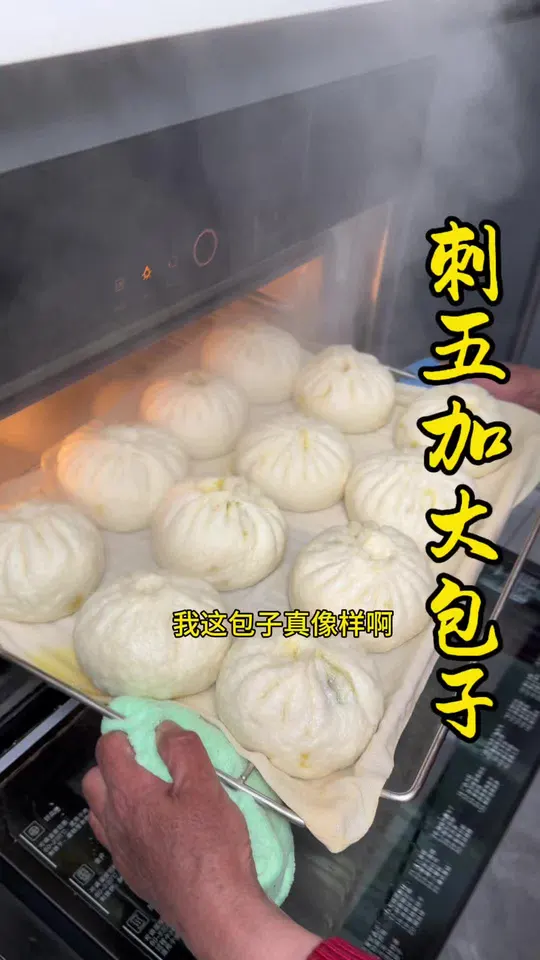 春天进山采野菜会有什么收获,山野菜刺五加大包子太香了