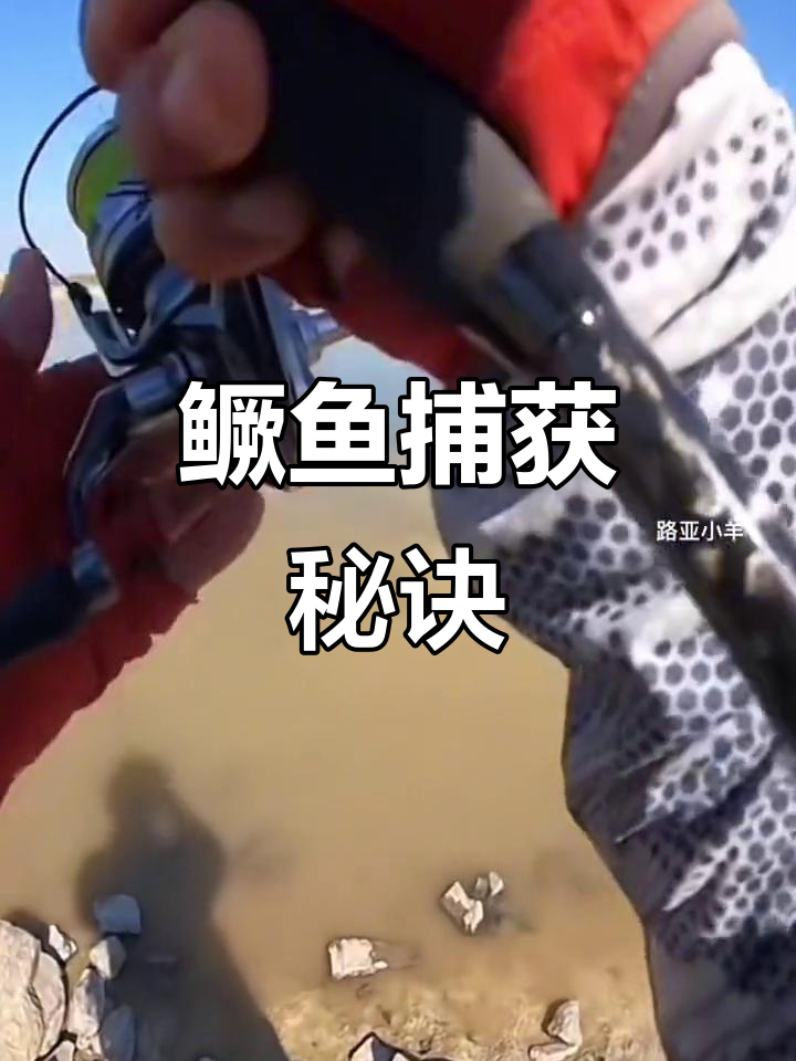 鸭噗T尾软饵，鳜鱼捕捞神器！