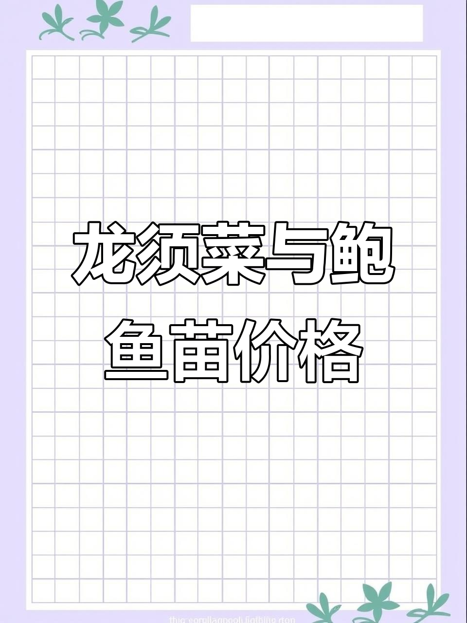 2025年龙须菜价格波动,鲍鱼苗分批投放市场