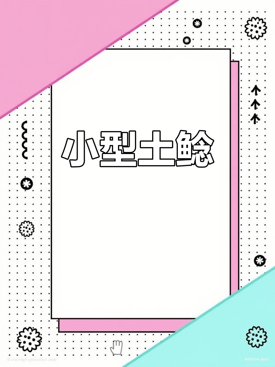 土鲶鱼苗,肉质鲜嫩,一年长成,适合小食