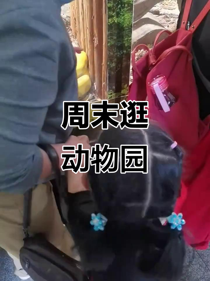 重庆动物园亲子游,鲸鱼、蛇和宝宝的趣味时光